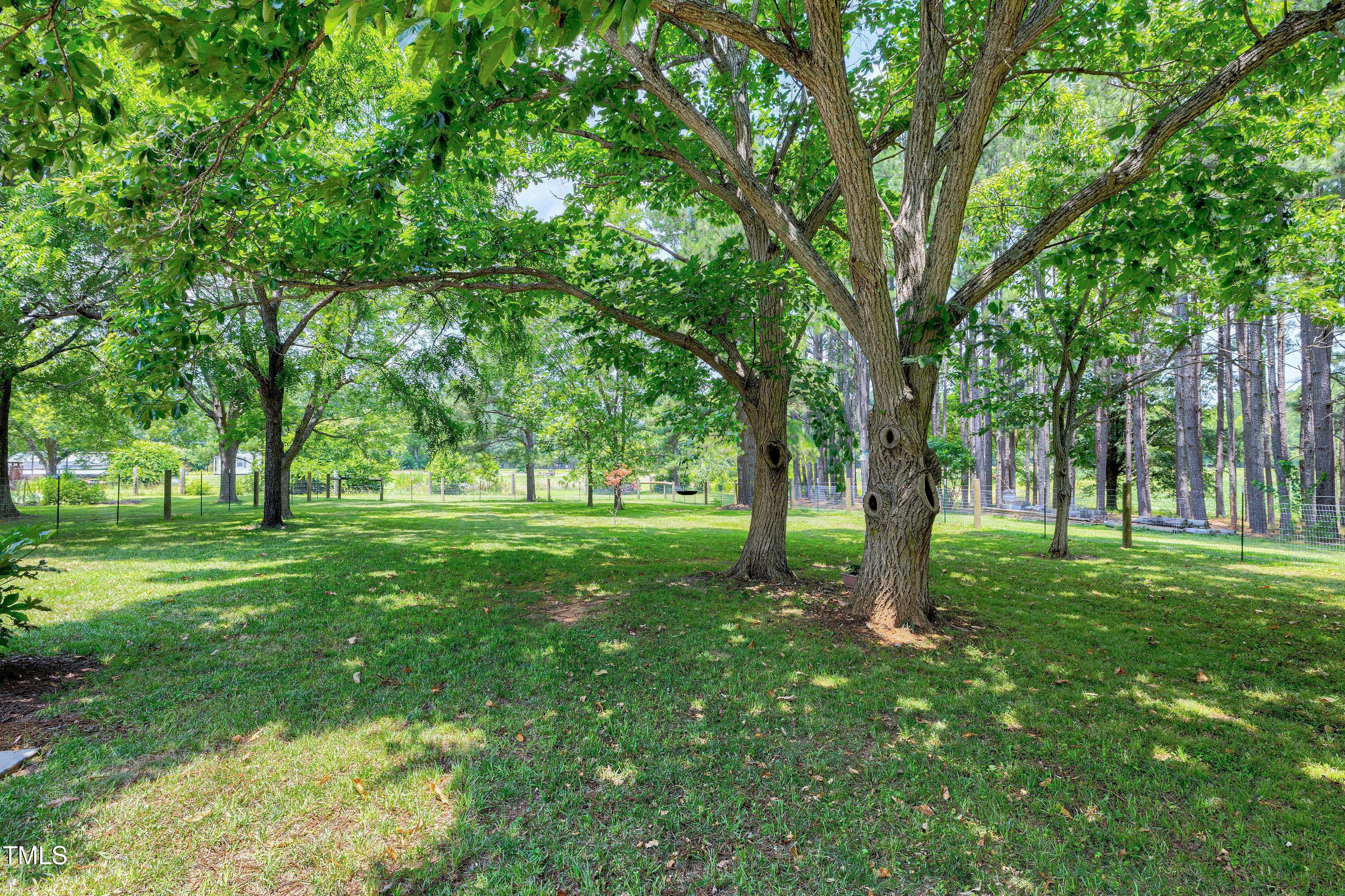 5859 Vicksboro Road Henderson, NC 27537 - Photo 53 of 65 a huge green field with lots of trees