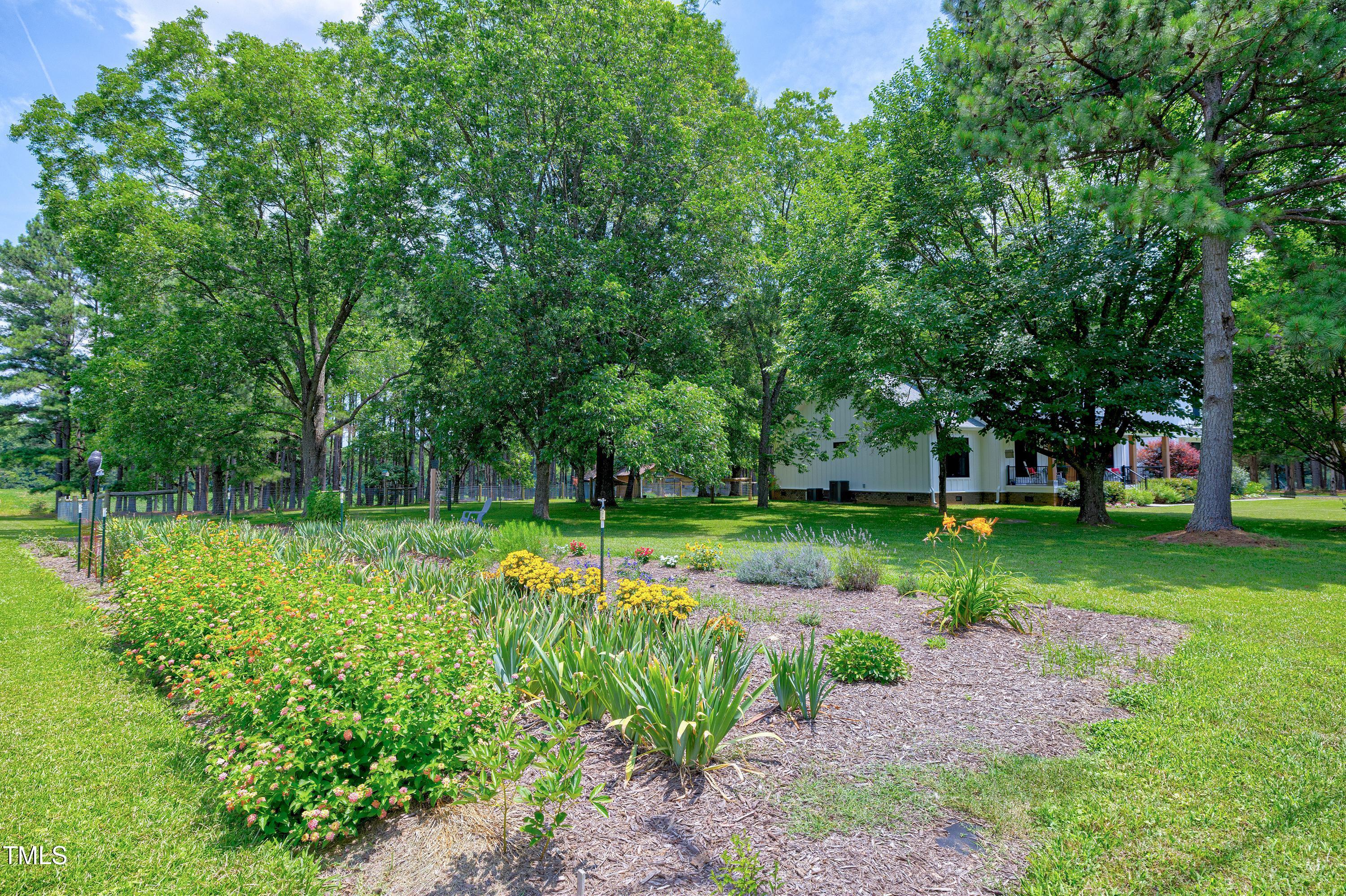 5859 Vicksboro Road Henderson, NC 27537 - Photo 63 of 65 a view of a park with tree s