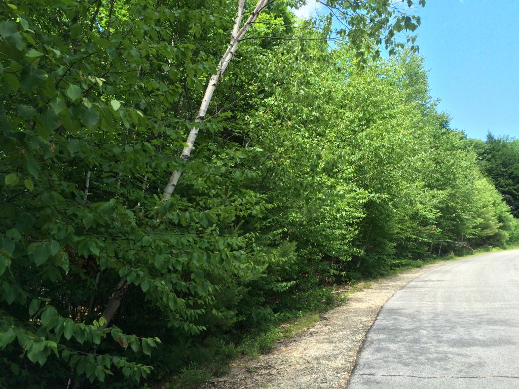 Lot 14 Brienne Road New Durham, NH 03855 - Photo 1 of 5