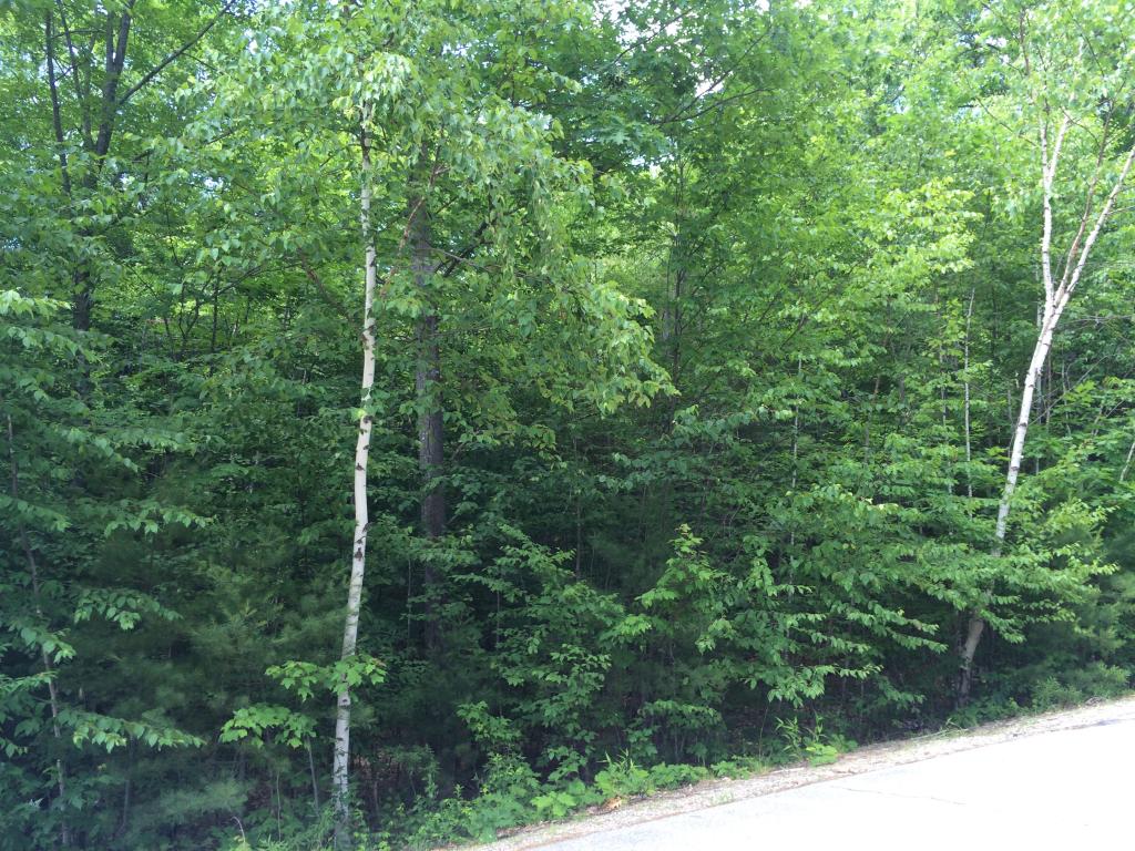 Lot 14 Brienne Road New Durham, NH 03855 - Photo 5 of 5