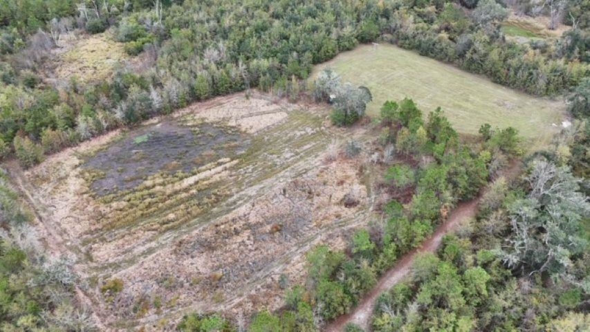 5000 Northwest Little Cat Road Madison, FL 32340 - Photo 13 of 24