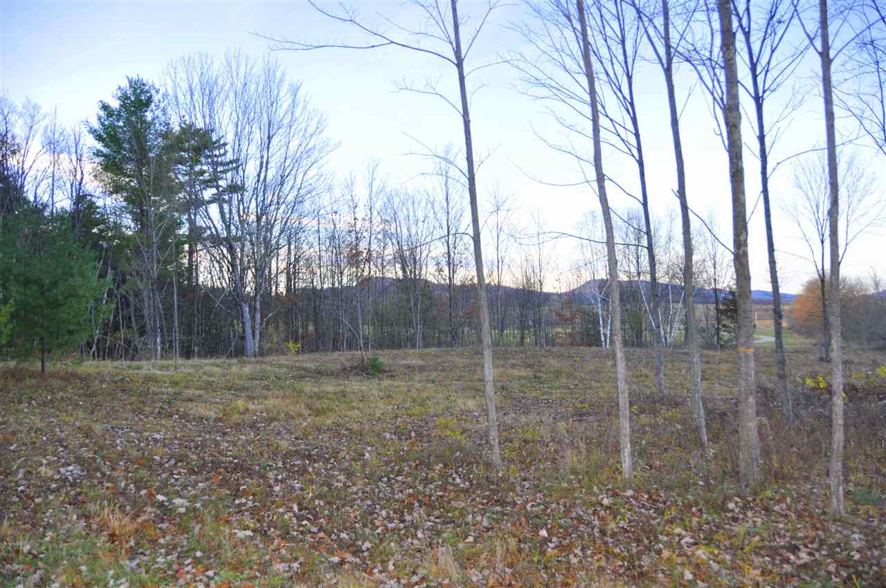 Lot #19 Beaver Brook Road Cornwall, VT 05753 - Photo 1 of 1