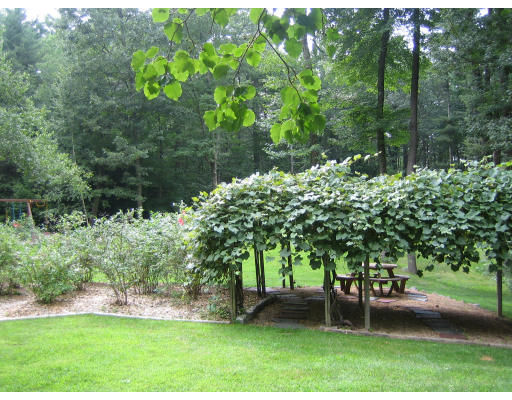 36 Scott Road Harvard, MA 01451 - Photo 16 of 19 Gallery Image 16