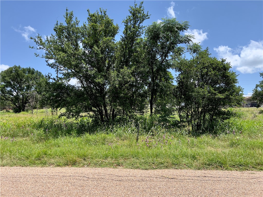 510 Cedar Ridge Road Gatesville, TX 76528 - Photo 5 of 12