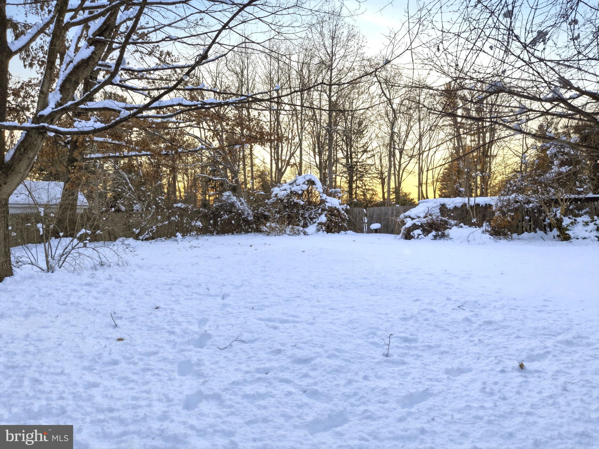 416 Rices Mill Road Wyncote, PA 19095 - Photo 45 of 60 a view of a yard covered with snow in the front of house