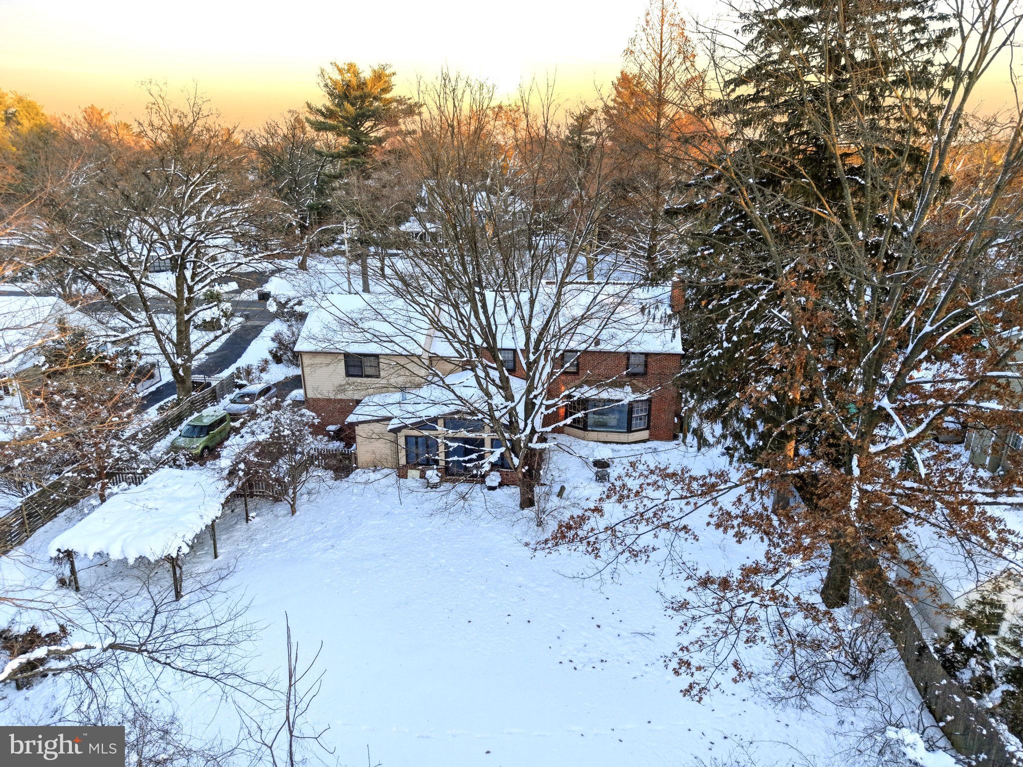 416 Rices Mill Road Wyncote, PA 19095 - Photo 50 of 60 a view of a tree with a yard