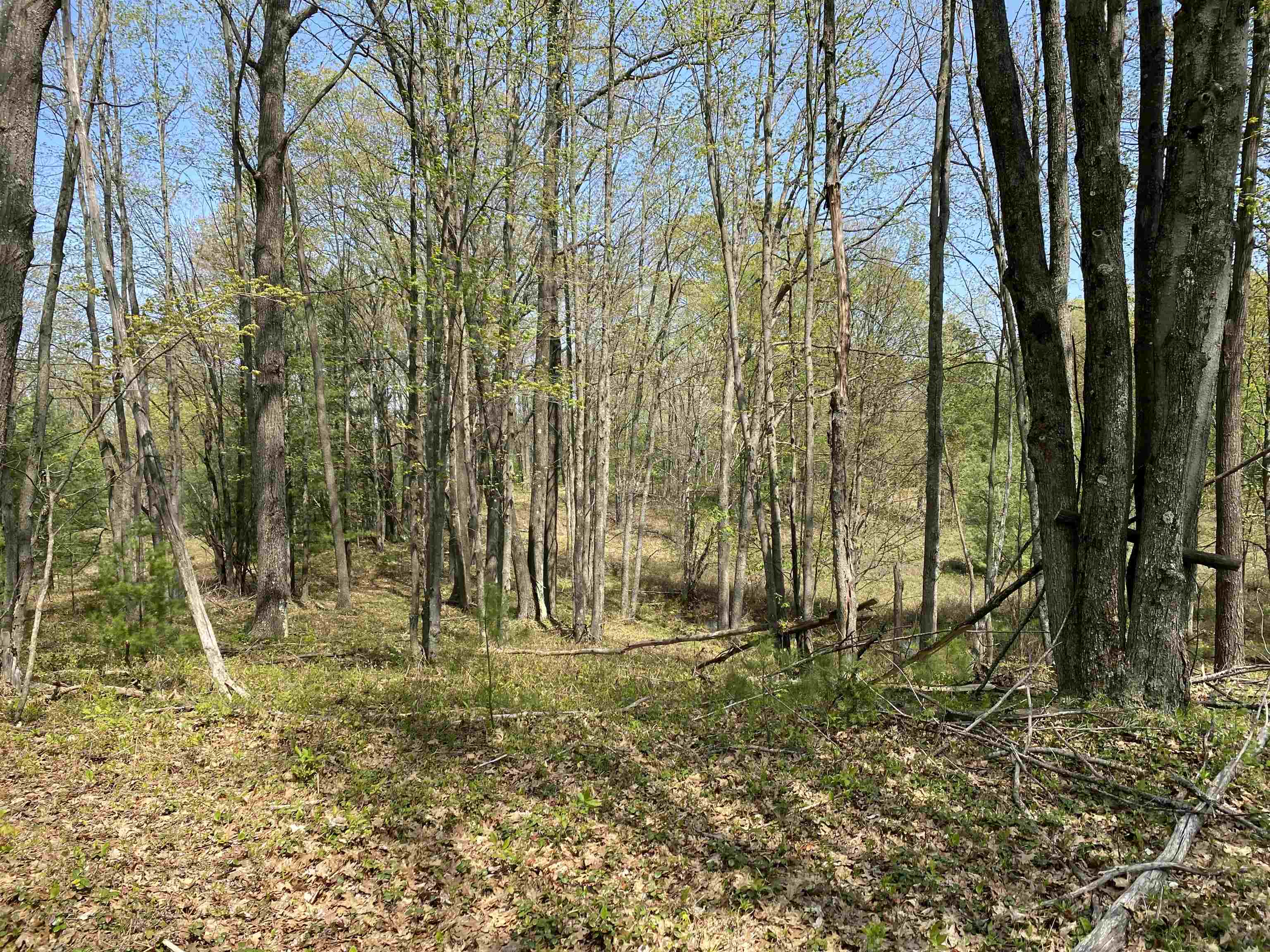 47 South 47 3/4 Road, Unit FOREST DRIVE LOT: 4 Cadillac, MI 49601 - Photo 10 of 14