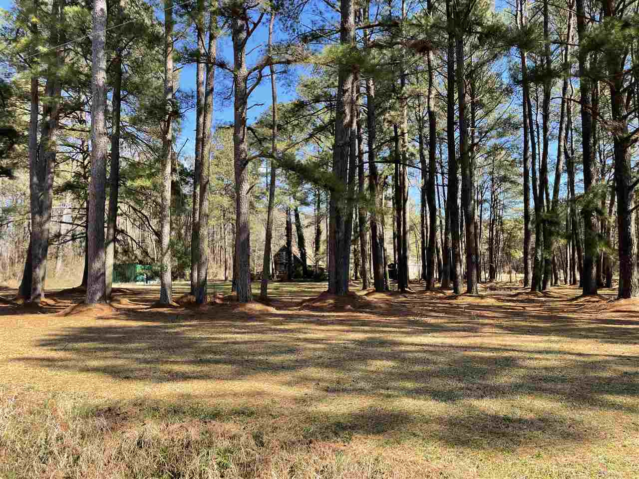 2174 Shoeheel Road Selma, NC 27576 - Photo 21 of 21 Road frontage home sites way back from road. Front