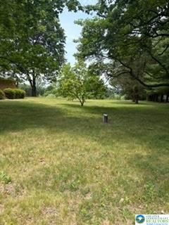 5747 Kernsville Road Orefield, PA 18069 - Photo 42 of 56 a view of outdoor space with trees all around
