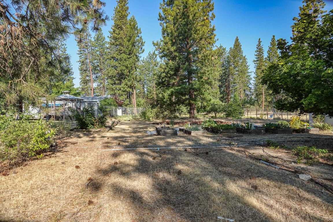 323 Greenview Road Greenview, CA 96037 - Photo 33 of 49 Gallery Image 33
