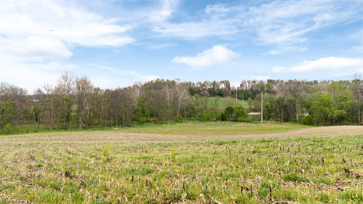 659 Township Road Dundee, OH 44624 - Photo 22 of 41