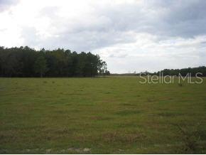 231 Price Road Hawthorne, FL 32640 - Photo 1 of 1 Primary Photo