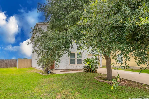 a tree in front of a house with a yard