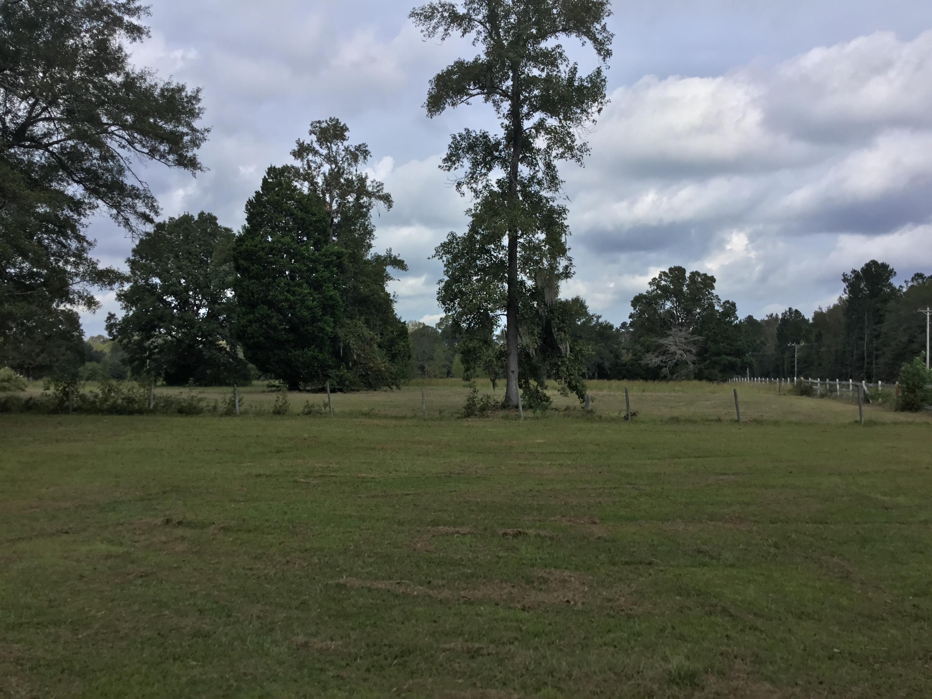 4497 Mt Carmel Road Walterboro, SC 29488 - Photo 15 of 55 IMG_0983