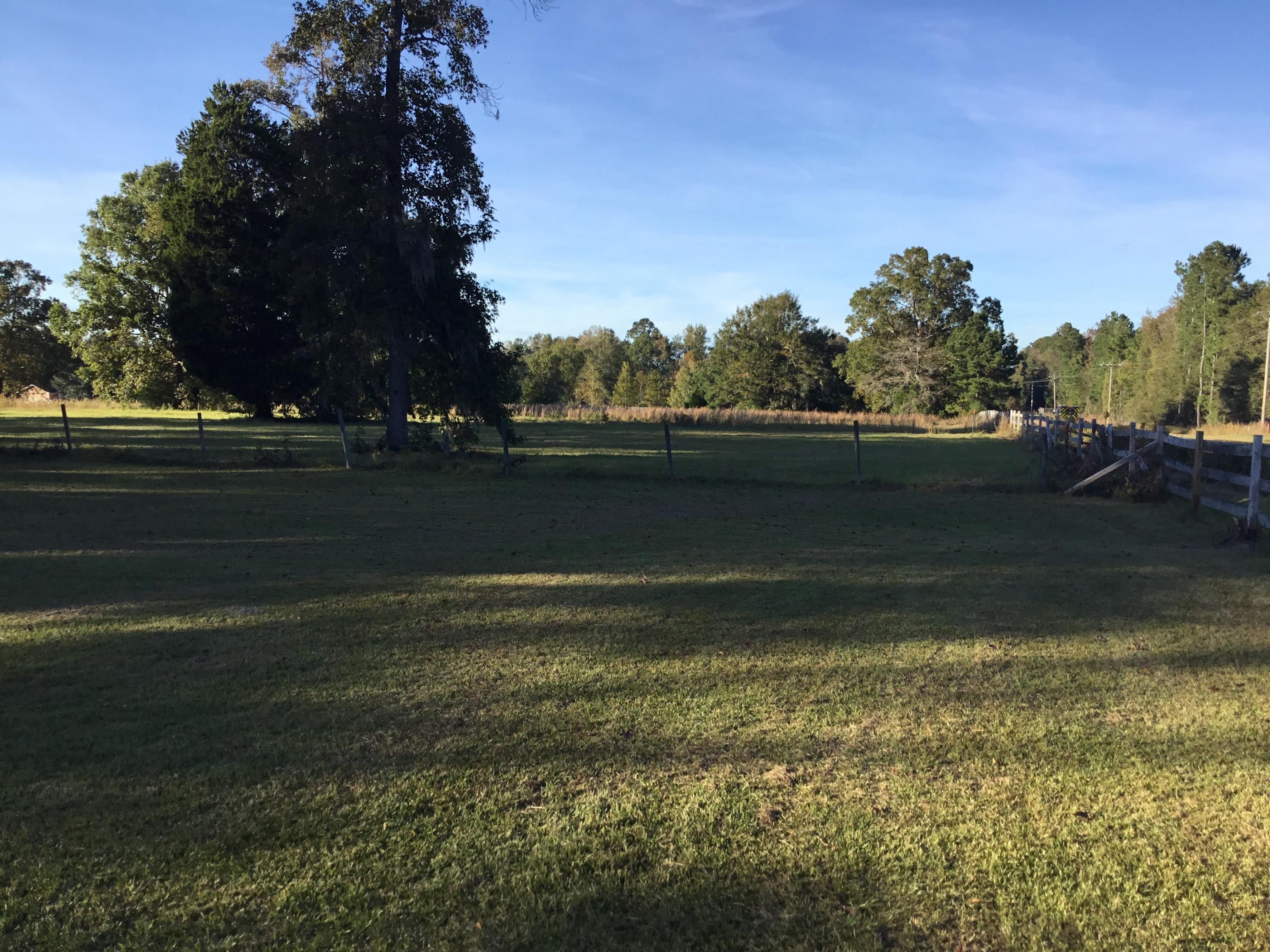 4497 Mt Carmel Road Walterboro, SC 29488 - Photo 19 of 55 IMG_0994