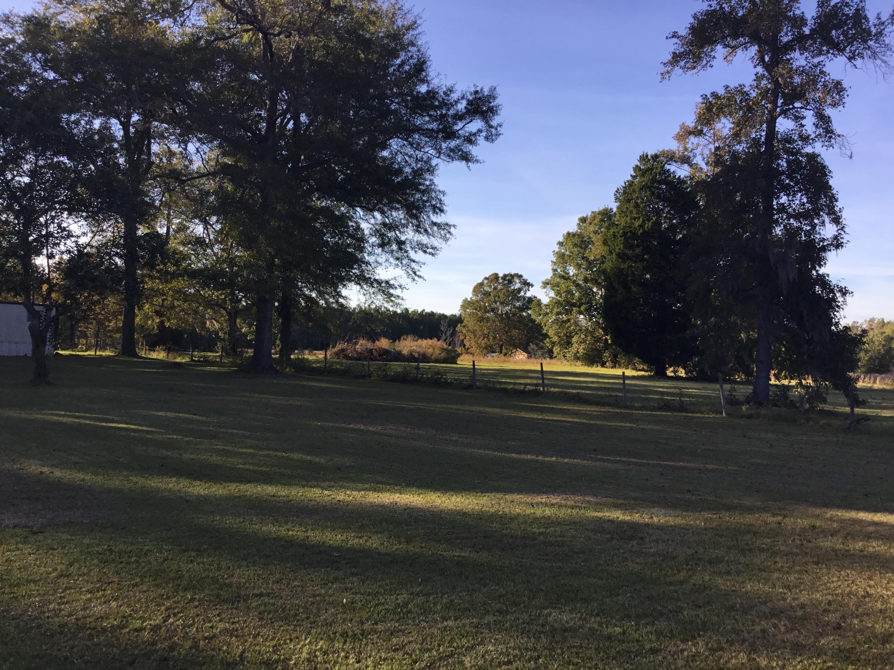 4497 Mt Carmel Road Walterboro, SC 29488 - Photo 20 of 55 IMG_0998