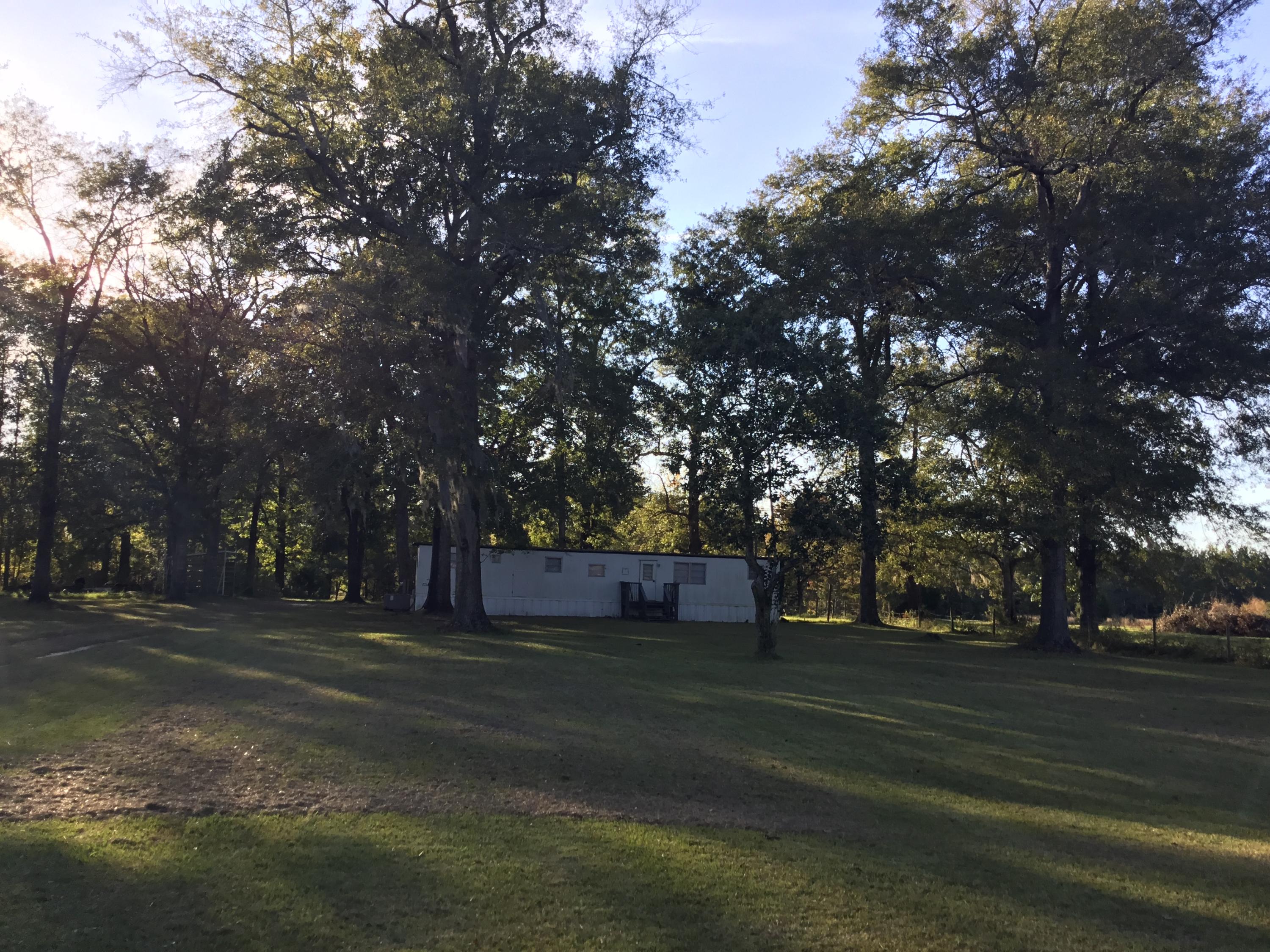 4497 Mt Carmel Road Walterboro, SC 29488 - Photo 21 of 55 IMG_1004