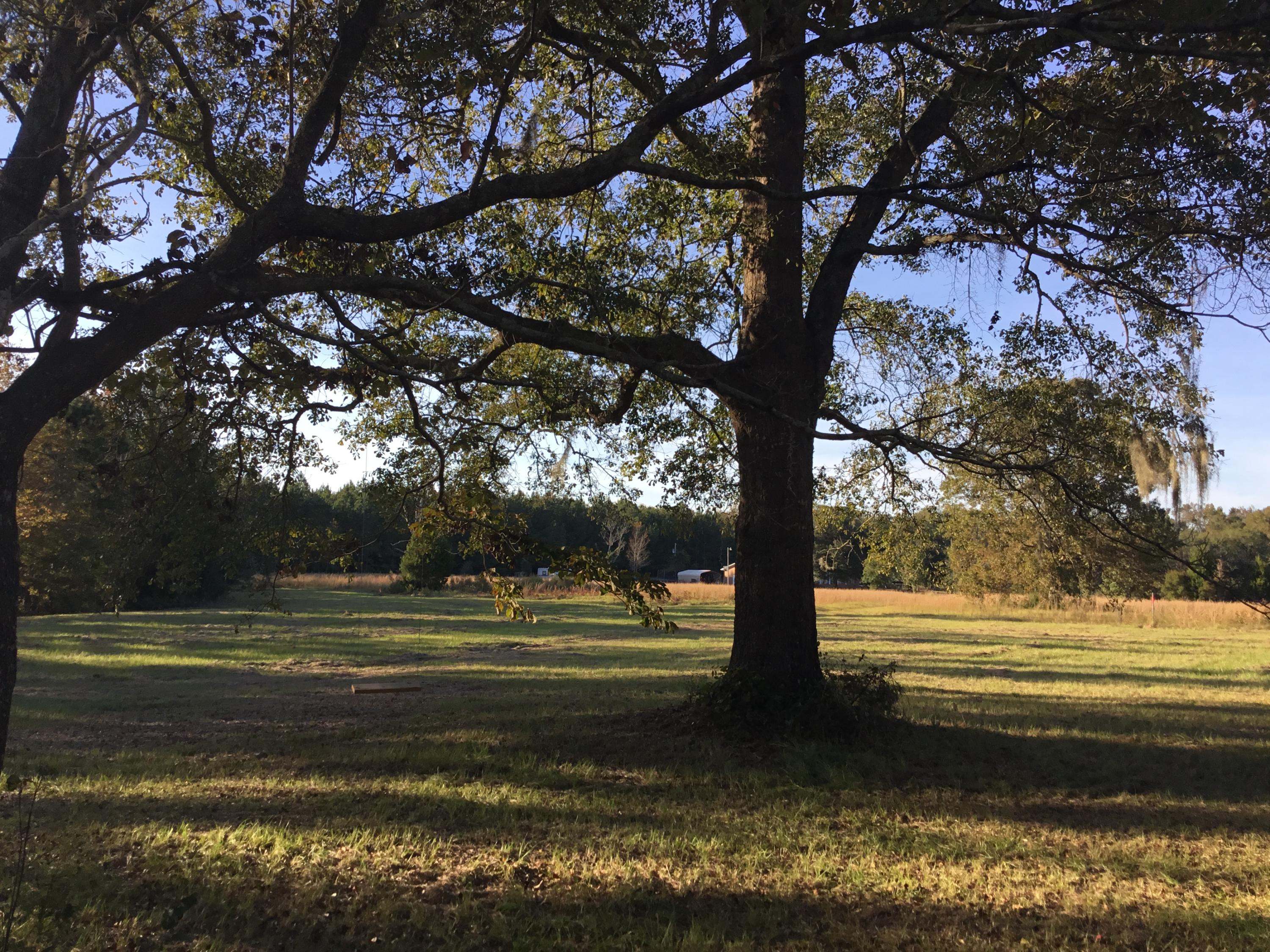4497 Mt Carmel Road Walterboro, SC 29488 - Photo 22 of 55 IMG_1013