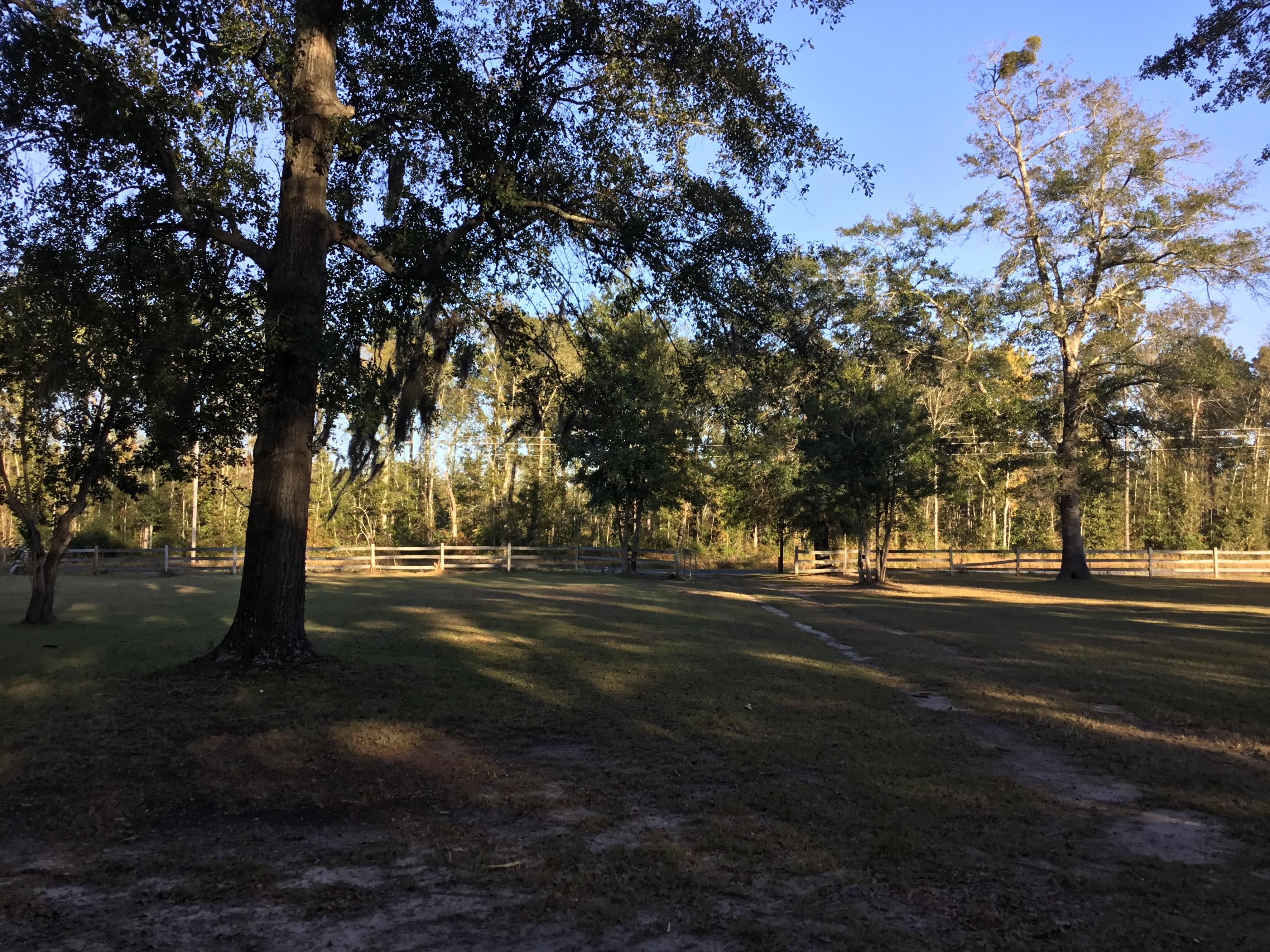 4497 Mt Carmel Road Walterboro, SC 29488 - Photo 25 of 55 IMG_1022