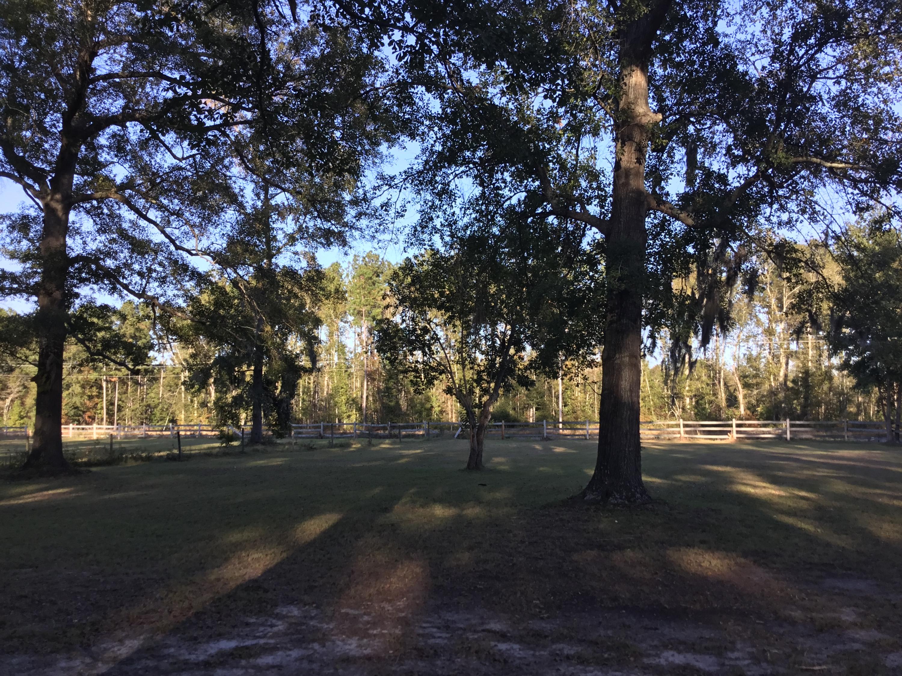 4497 Mt Carmel Road Walterboro, SC 29488 - Photo 26 of 55 IMG_1024