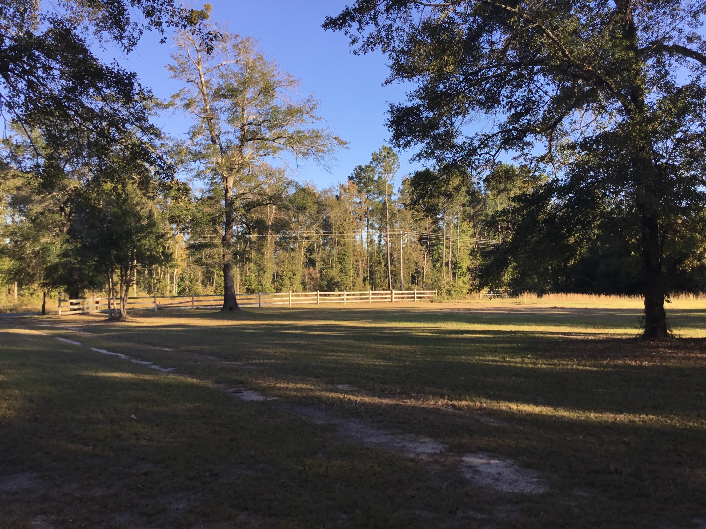4497 Mt Carmel Road Walterboro, SC 29488 - Photo 27 of 55 IMG_1027