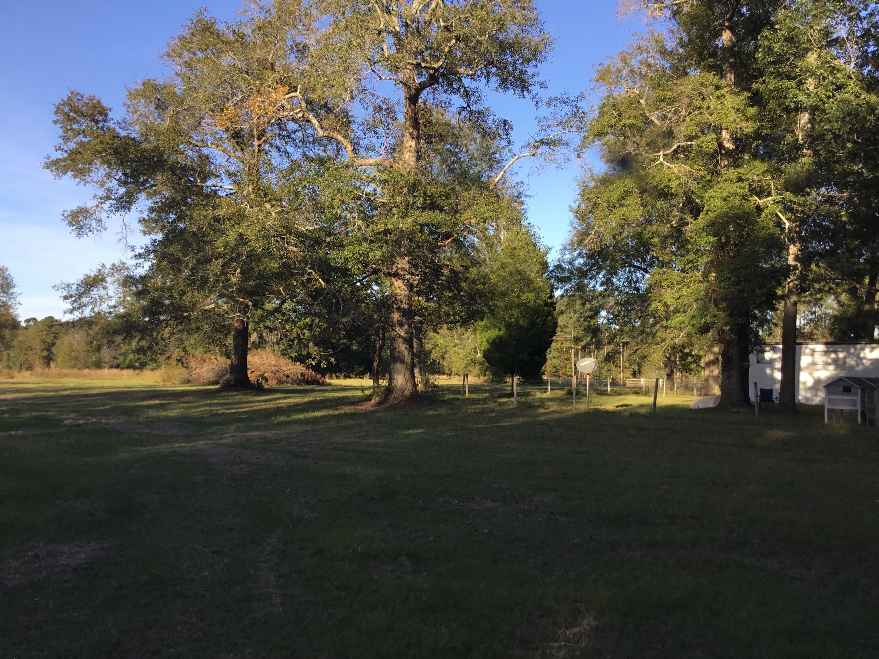 4497 Mt Carmel Road Walterboro, SC 29488 - Photo 28 of 55 IMG_1029