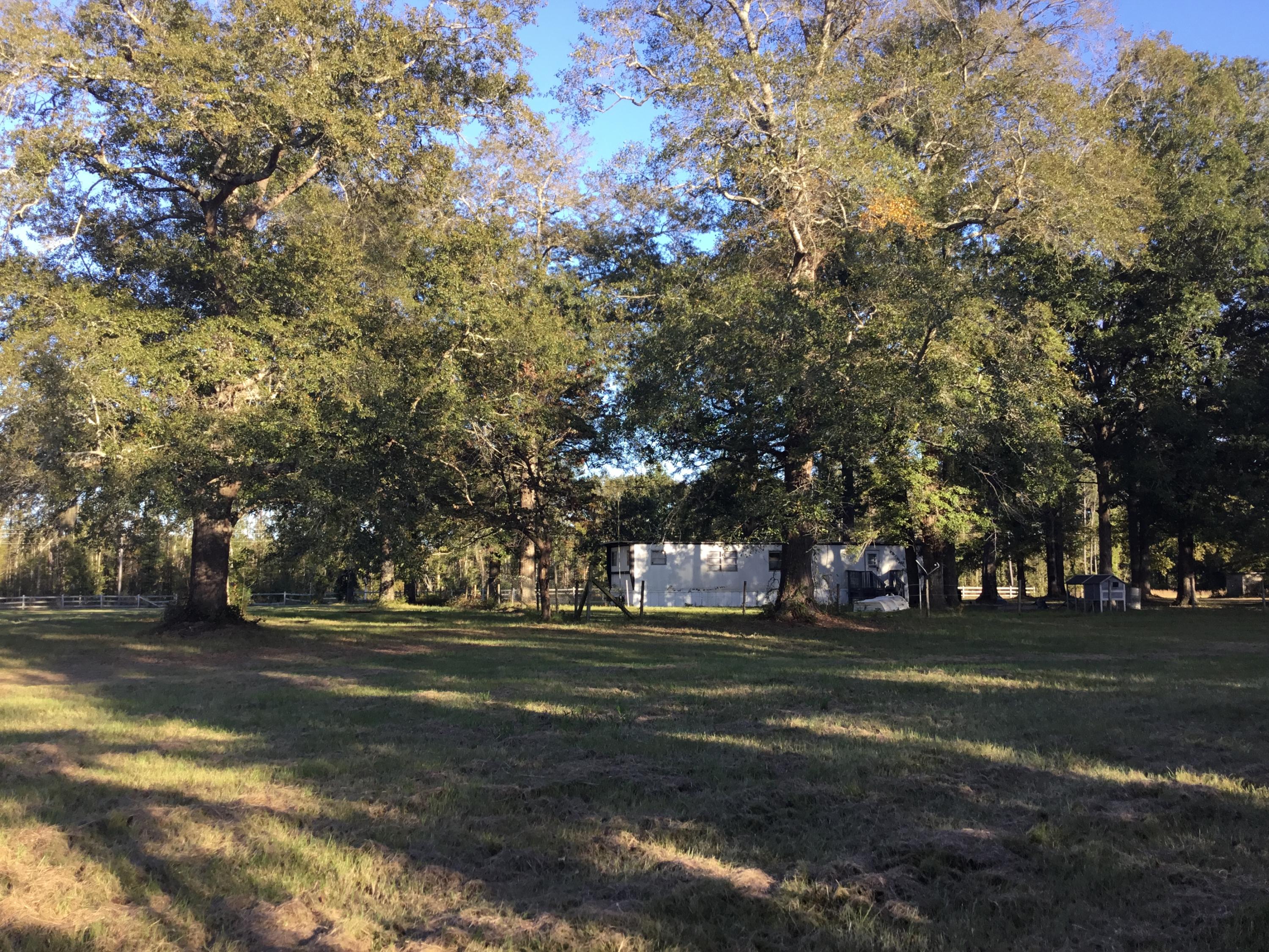 4497 Mt Carmel Road Walterboro, SC 29488 - Photo 34 of 55 IMG_1062
