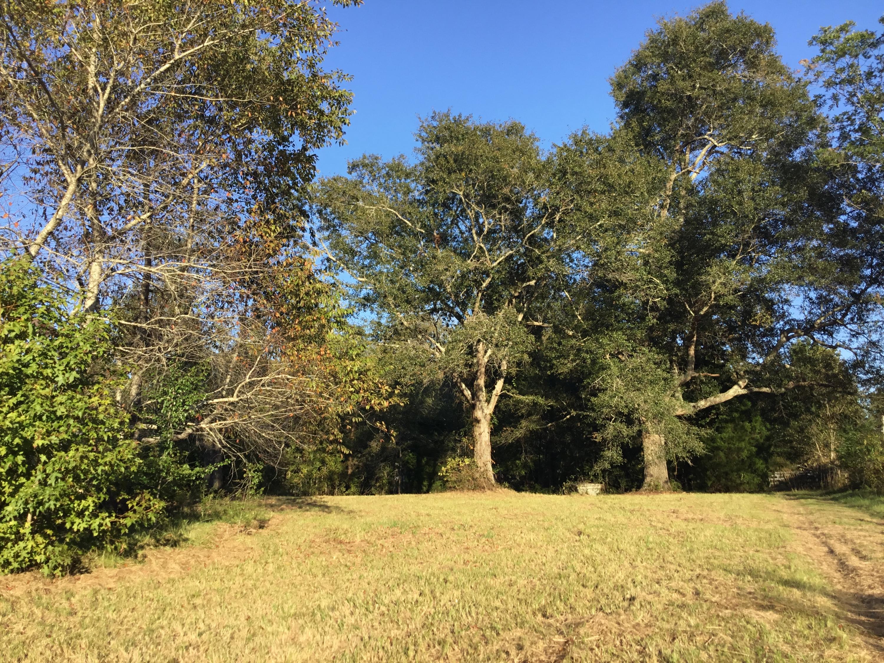 4497 Mt Carmel Road Walterboro, SC 29488 - Photo 35 of 55 IMG_1069