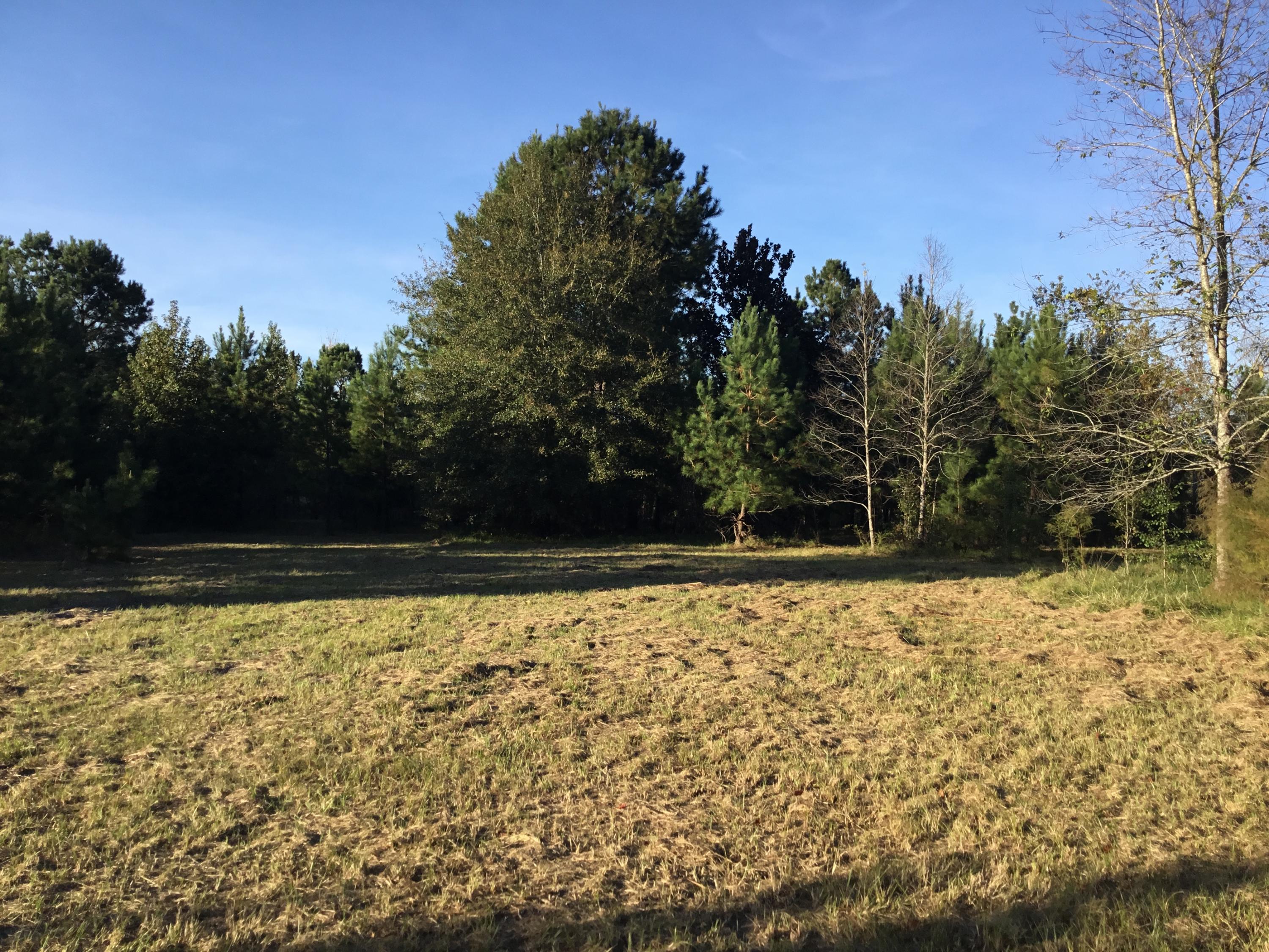 4497 Mt Carmel Road Walterboro, SC 29488 - Photo 36 of 55 IMG_1072