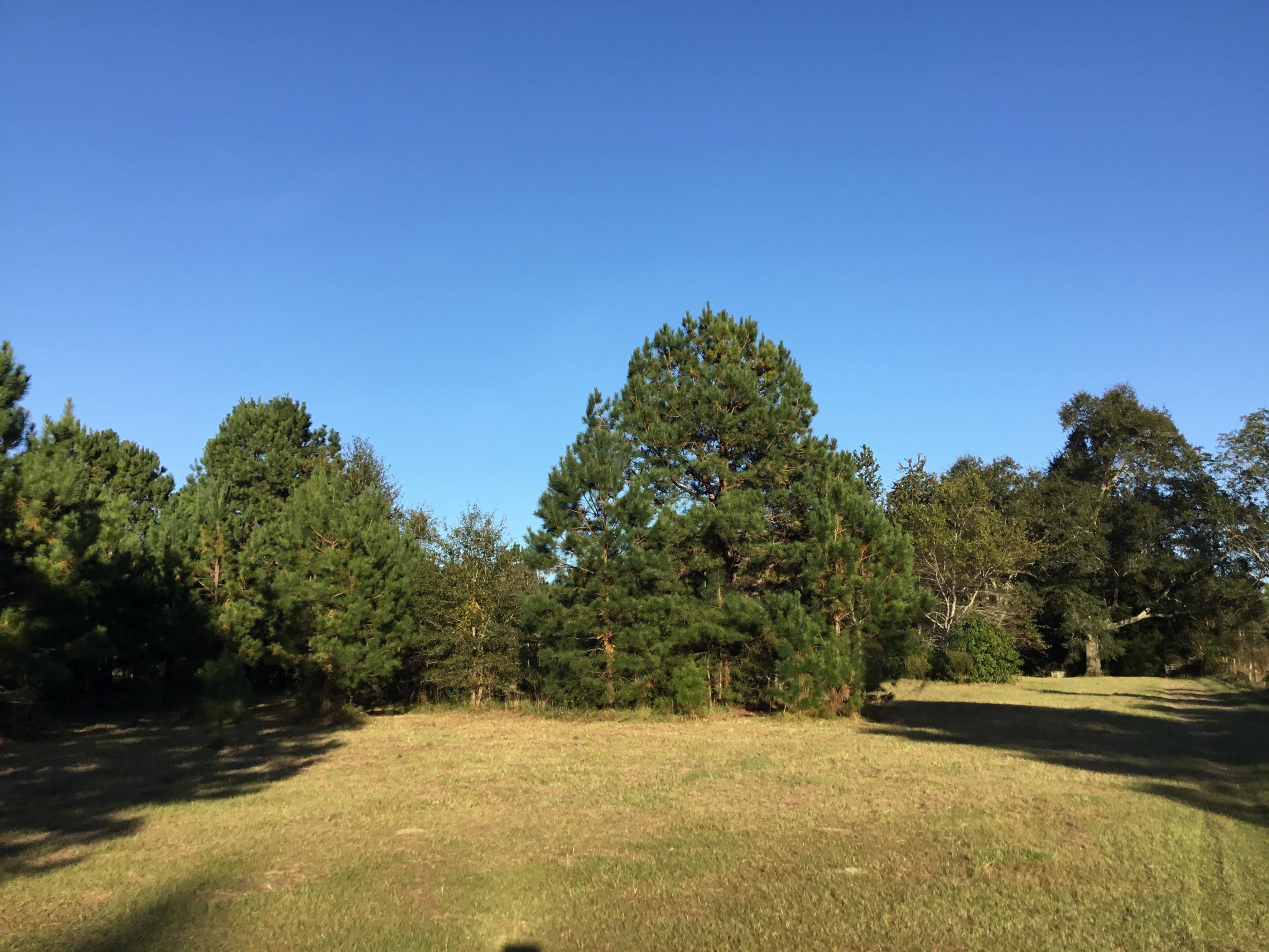 4497 Mt Carmel Road Walterboro, SC 29488 - Photo 38 of 55 IMG_1077