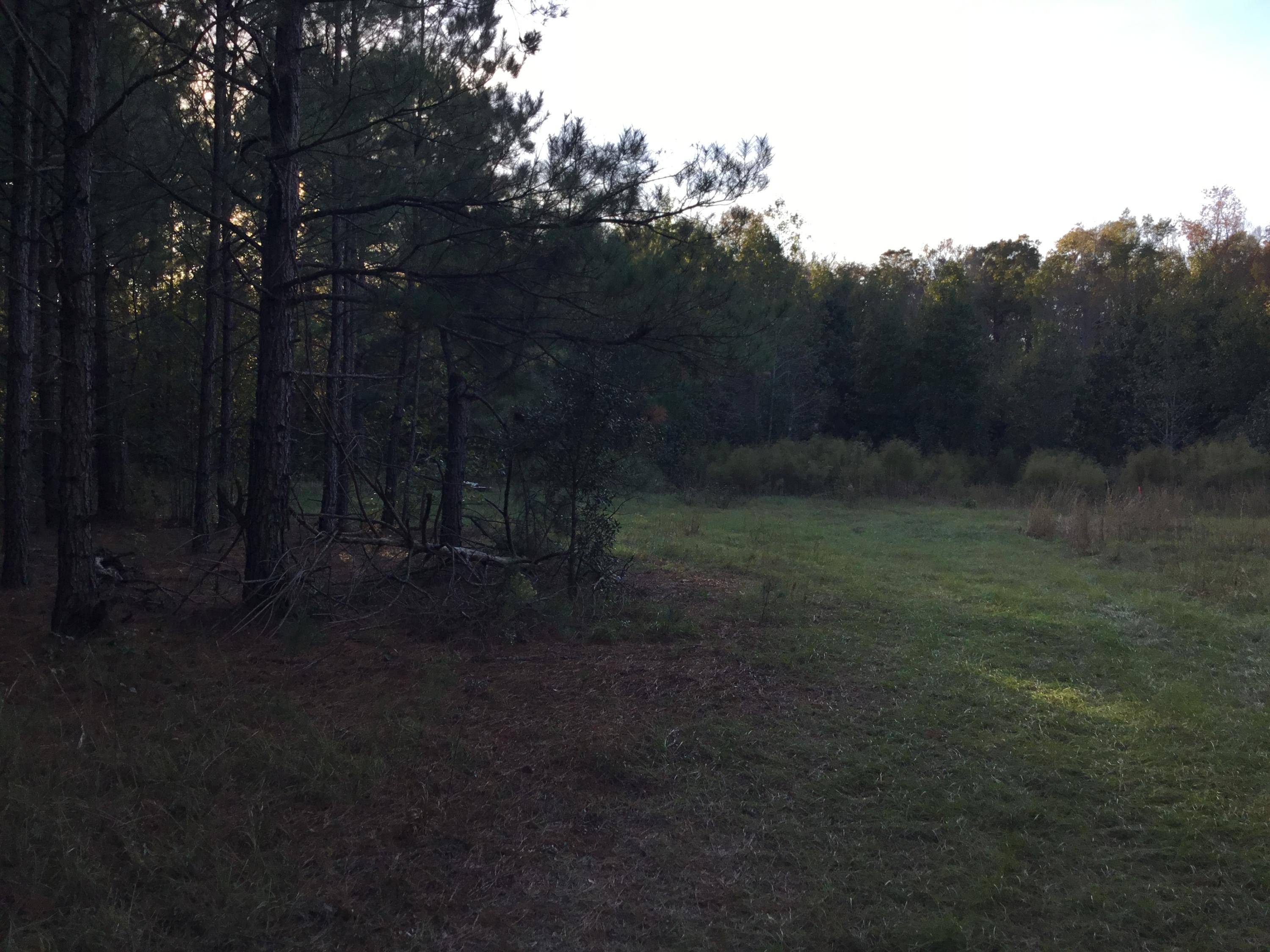 4497 Mt Carmel Road Walterboro, SC 29488 - Photo 47 of 55 IMG_1105