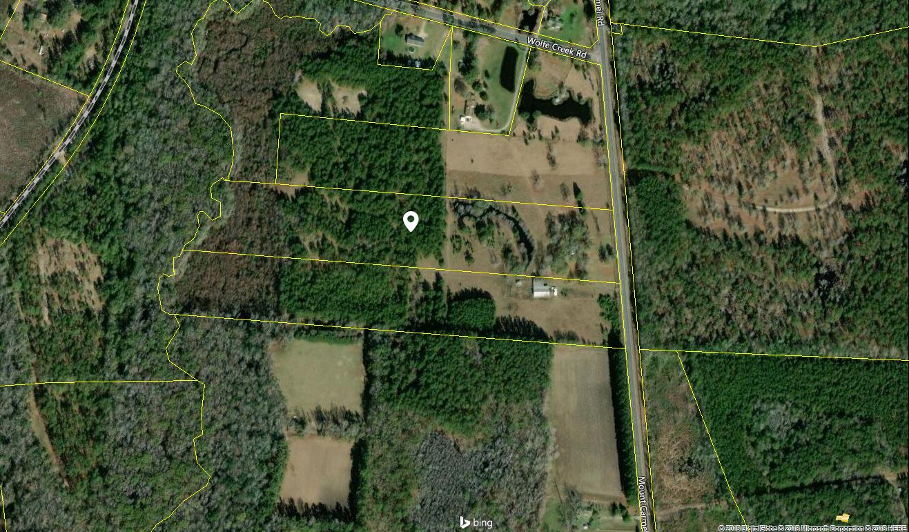 4497 Mt Carmel Road Walterboro, SC 29488 - Photo 53 of 55 mt carmel 1