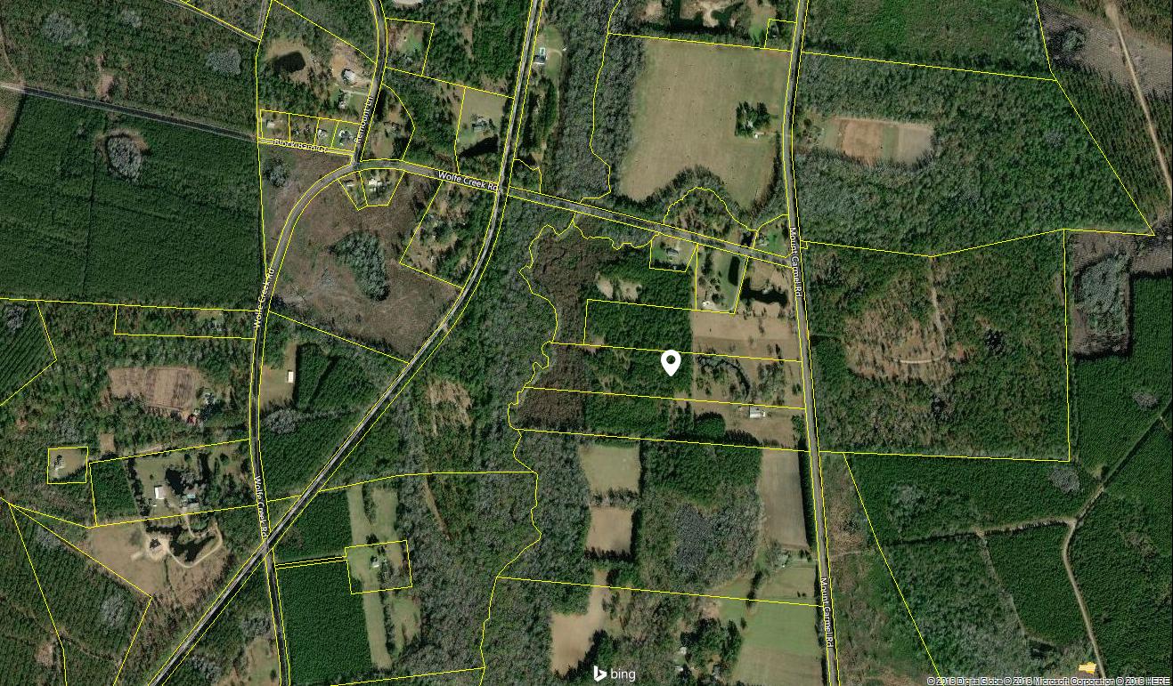 4497 Mt Carmel Road Walterboro, SC 29488 - Photo 54 of 55 mt carmel 2