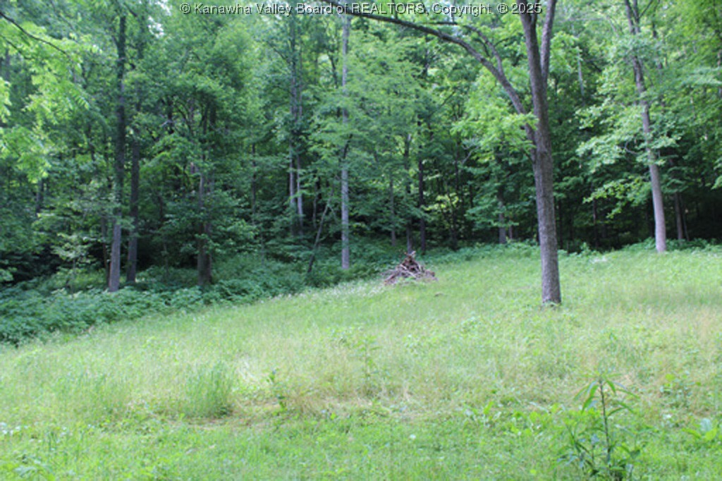 2801 Rock Creek Road Foster, WV 25081 - Photo 12 of 46 Gallery Image 12