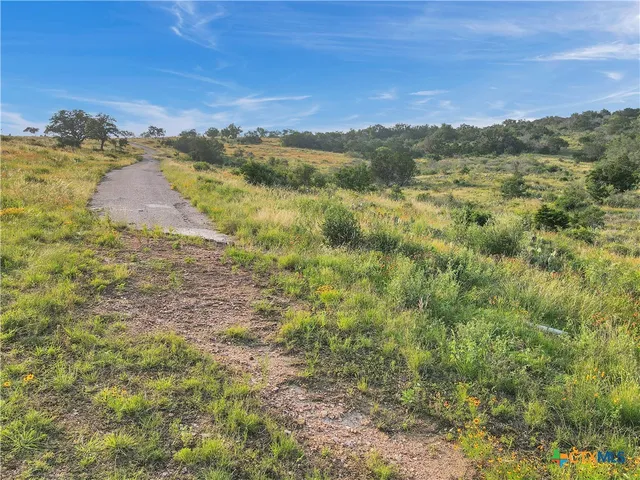 $194,500 | Tbd Tbd Big Creek Drive, Kingsland, TX 78639