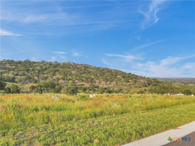 $194,500 | Tbd Tbd Big Creek Drive, Kingsland, TX 78639