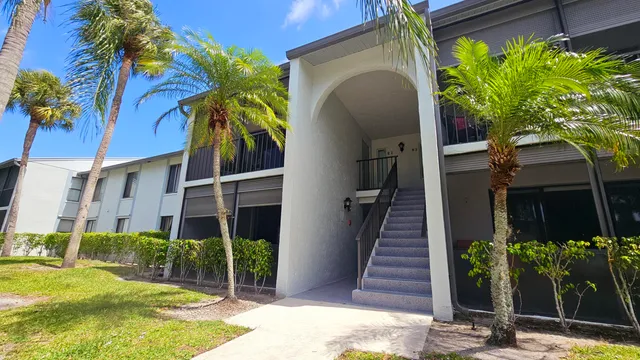 a view of a garden with potted plants