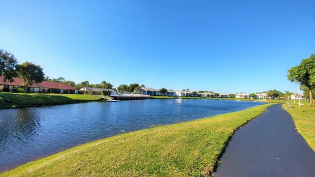 a view of a park with palm trees