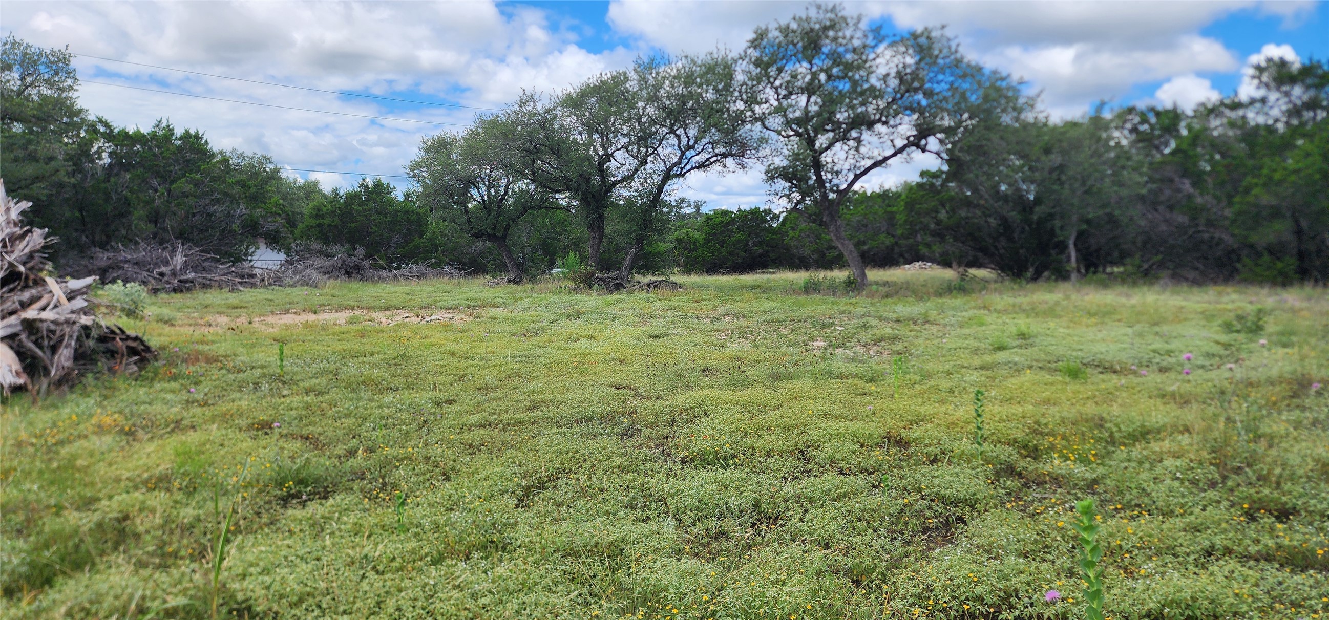 1285 Cedar Lake Spring Branch Spring Branch, TX 78070 - Photo 3 of 5 Green, lush acreage with mature trees provides an ideal backdrop for a private retreat.