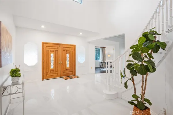 a potted plant sitting in front of a window