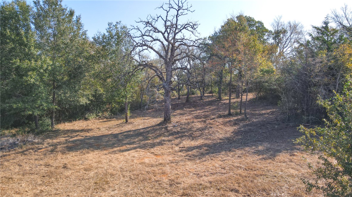 2 Green Hill Road Caldwell, TX 77836 - Photo 7 of 9 a backyard of a house with lots of green space