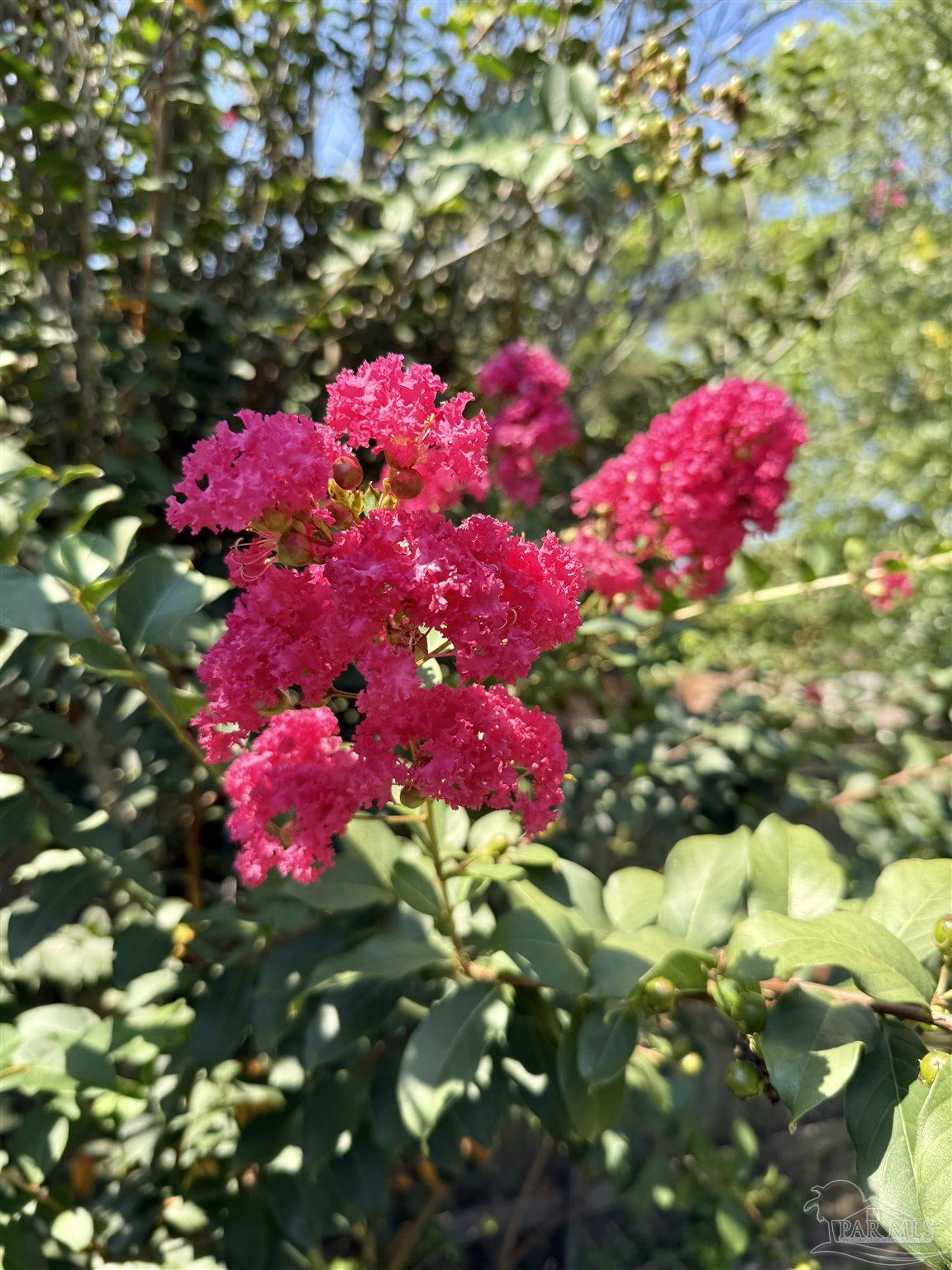 8204 Squire Road Pensacola, FL 32514 - Photo 38 of 61