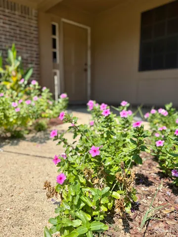an empty room with a chandelier fan and mirror