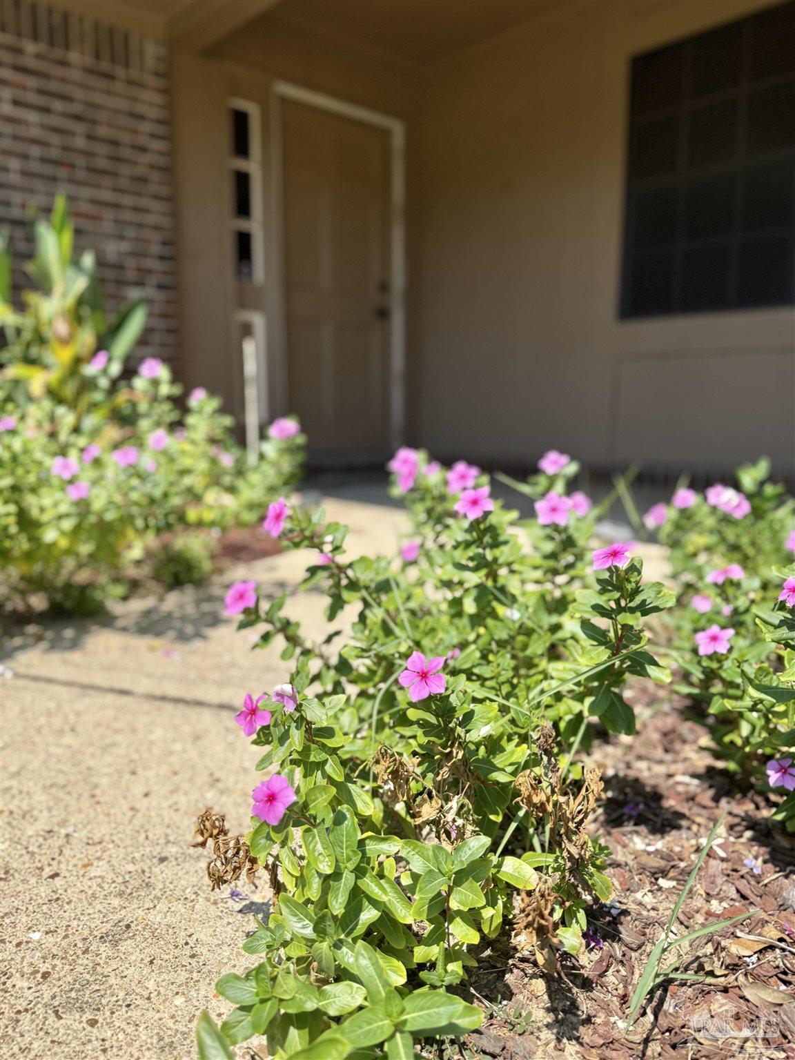 8204 Squire Road Pensacola, FL 32514 - Photo 8 of 61