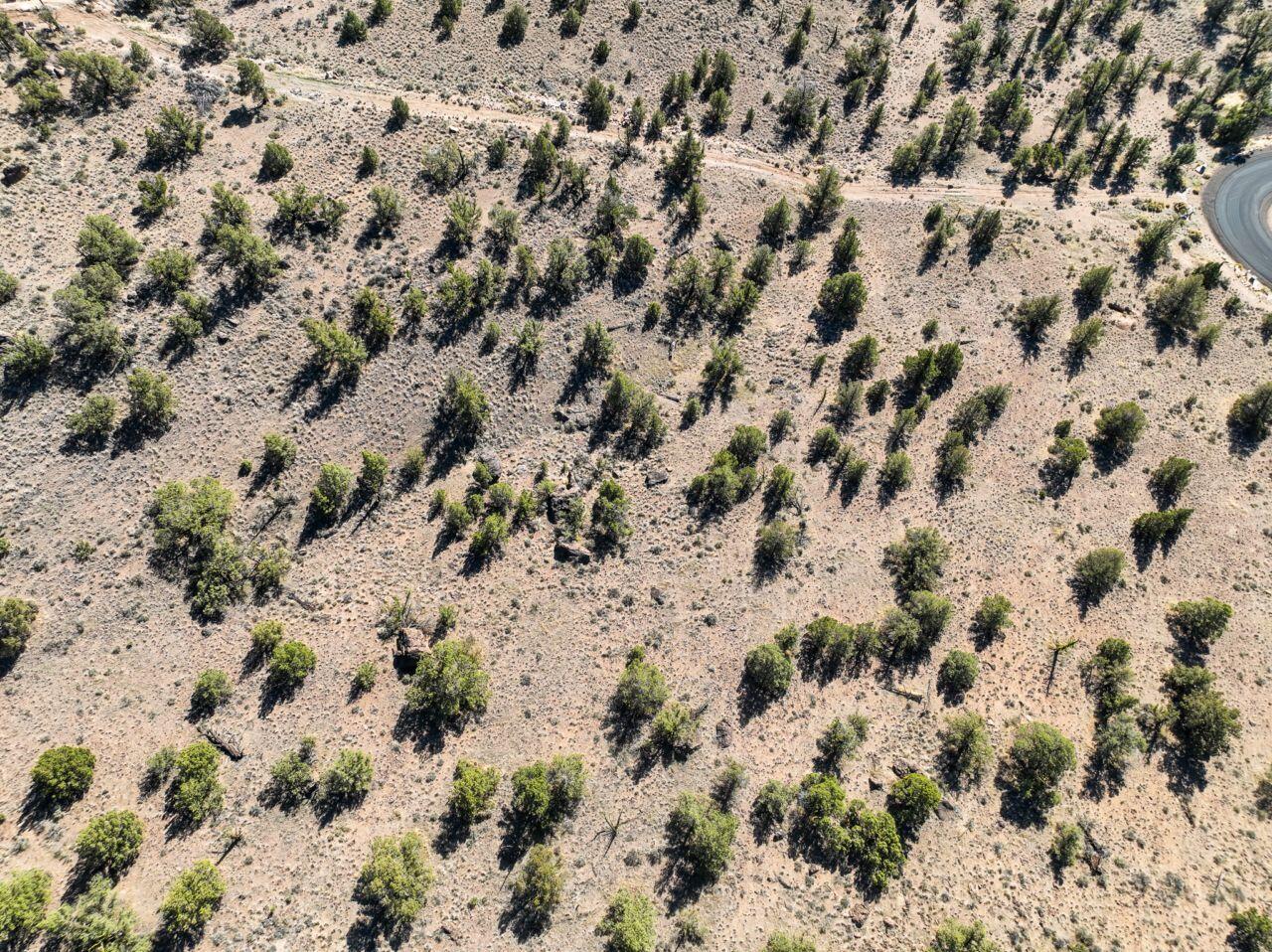 10081 Pavati Road, Unit LOT 35 Prineville, OR 97754 - Photo 16 of 23 photos_web_resolution_DJI_0978