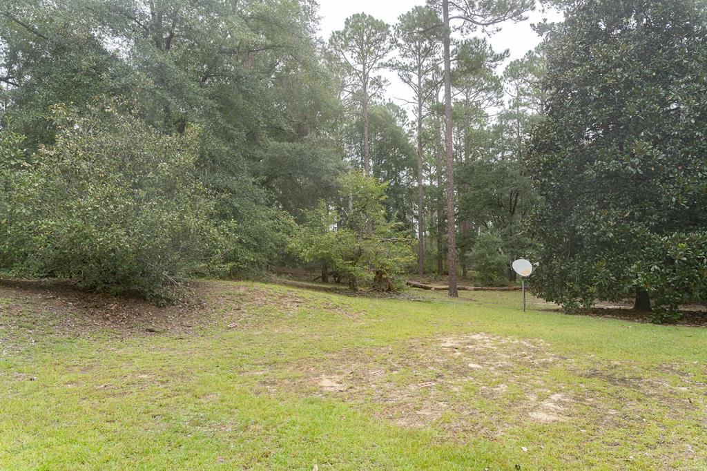 239 Sunny View Road Lumpkin, GA 31815 - Photo 13 of 13 Gallery Image 13
