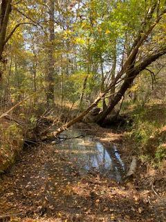 B Larkin Rice Road Saluda, SC 29138 - Photo 2 of 5