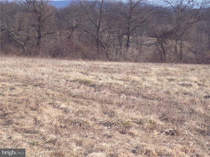 2088 Trolley Bridge Road Quakertown, PA 18951 - Photo 14 of 18 View 1