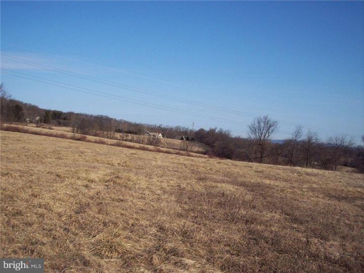 View 1