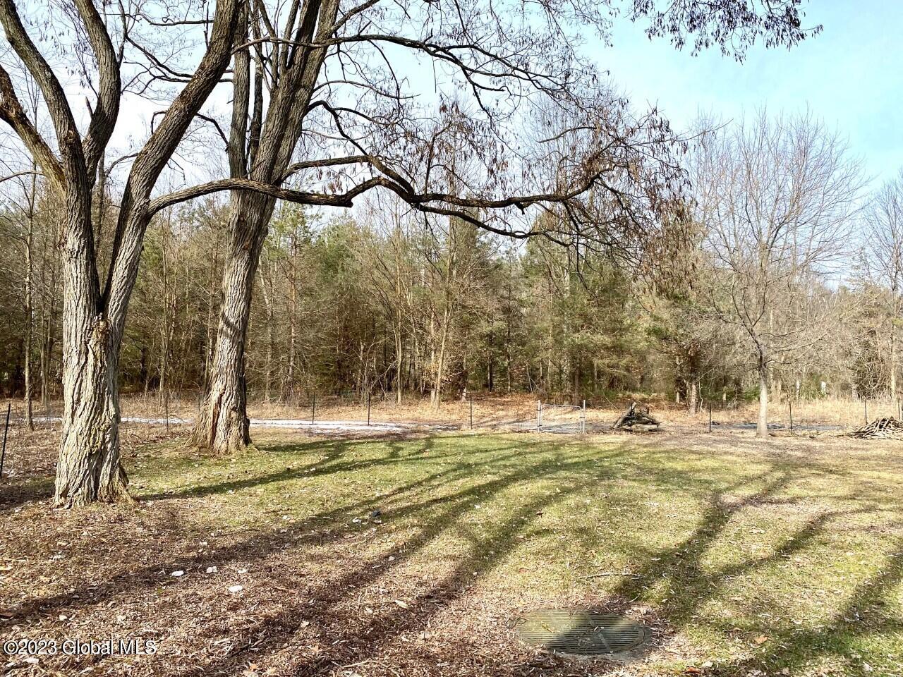 147 Reservoir Road Moreau, NY 12828 - Photo 8 of 52 yard3